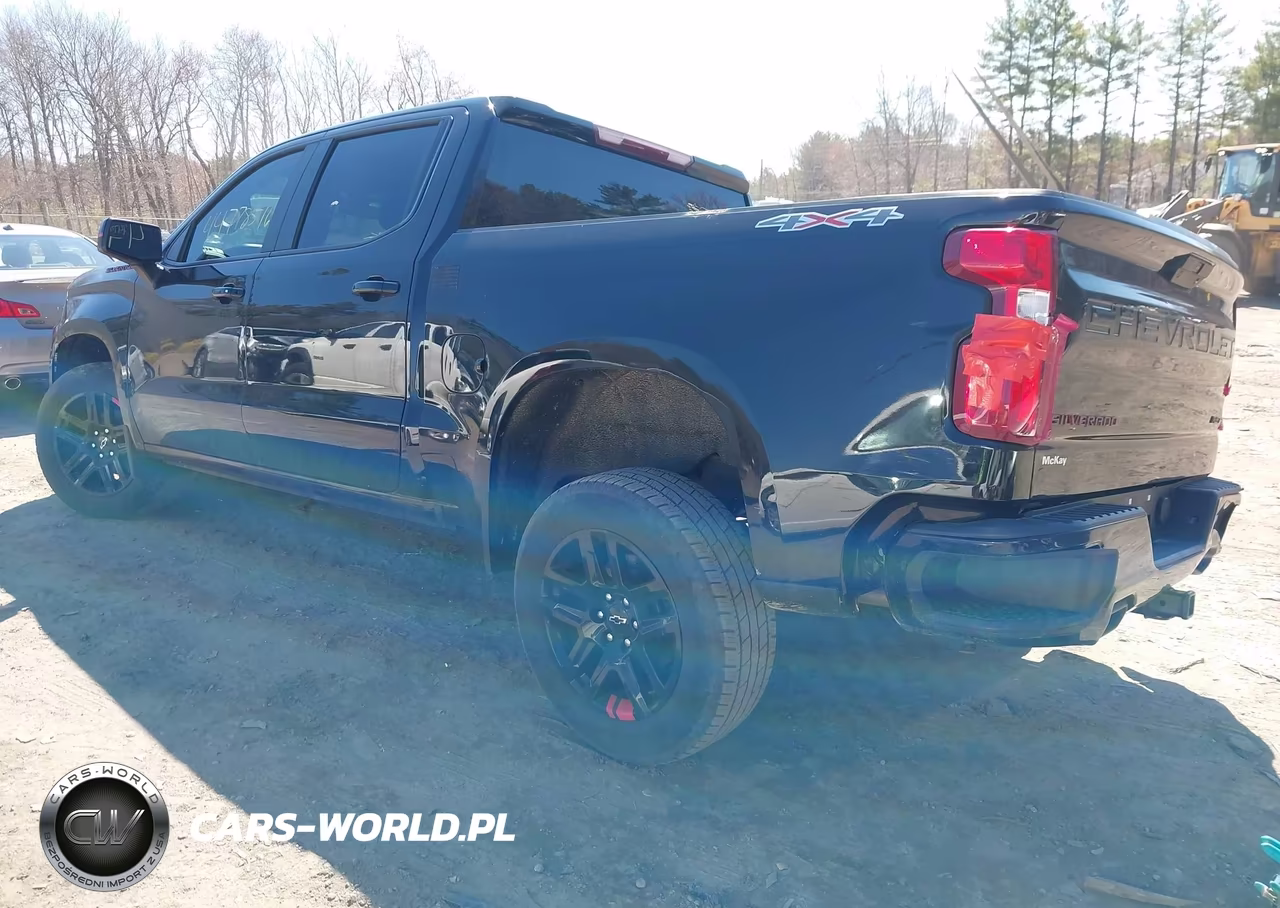 2022 Chevrolet Silverado 1500 Ltd 4Wd Short Bed Rst VIN:1GCUYEED2NZ185819 - 3