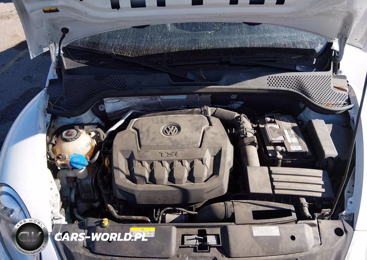 2018 Volkswagen Beetle 2.0T Coast-2.0T S-2.0T Se VIN:3VW5DAAT4JM503924 - 10