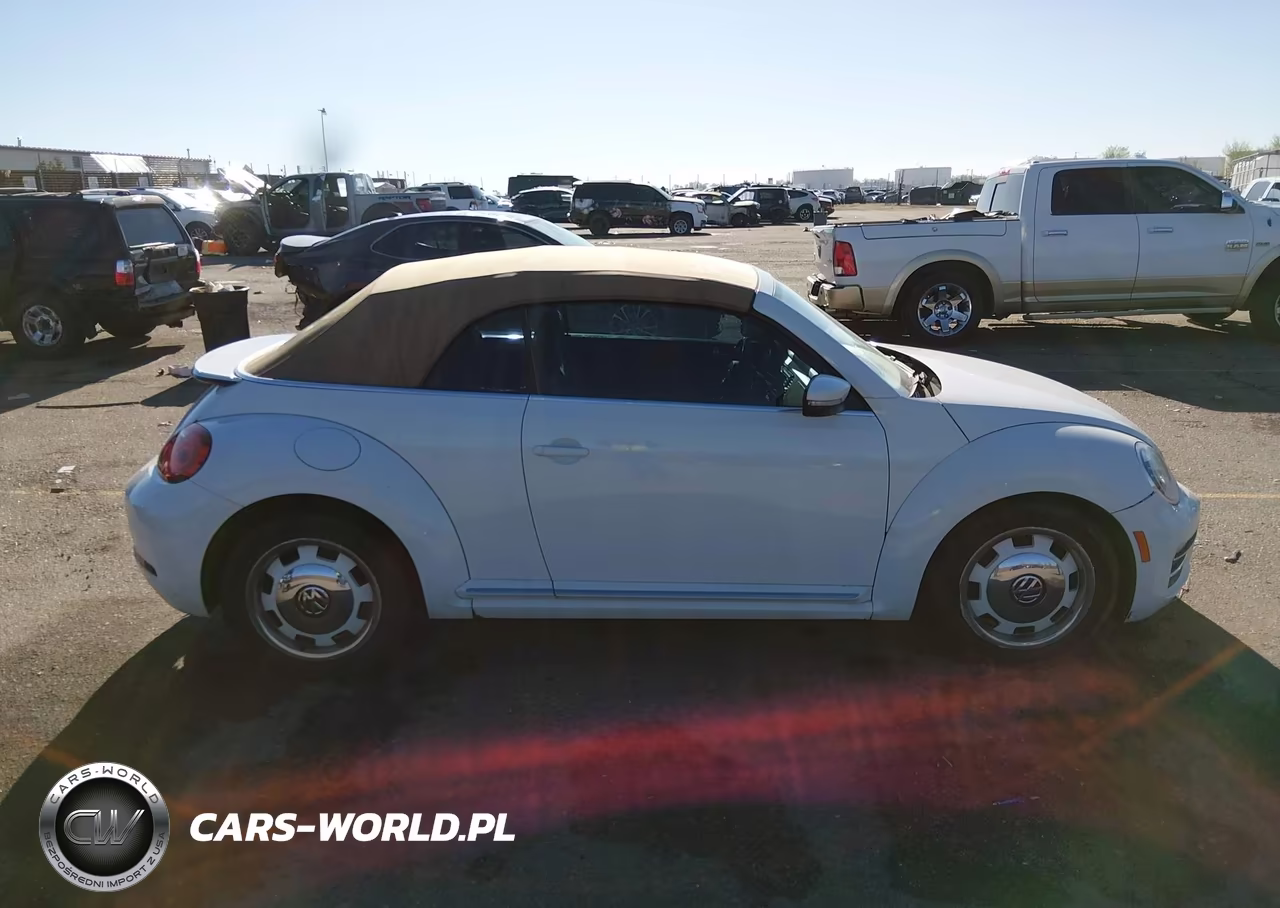 2018 Volkswagen Beetle 2.0T Coast-2.0T S-2.0T Se VIN:3VW5DAAT4JM503924 - 13