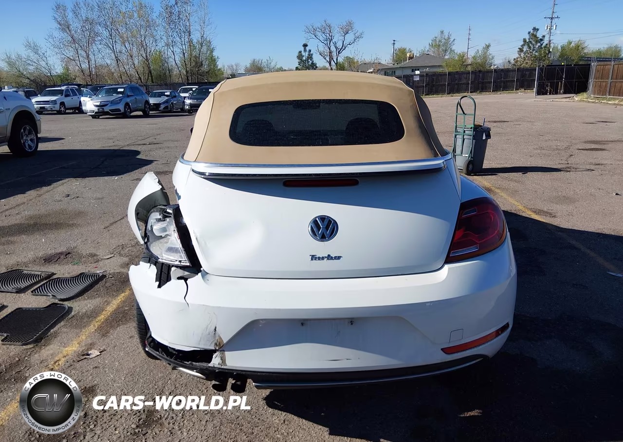 2018 Volkswagen Beetle 2.0T Coast-2.0T S-2.0T Se VIN:3VW5DAAT4JM503924 - 16