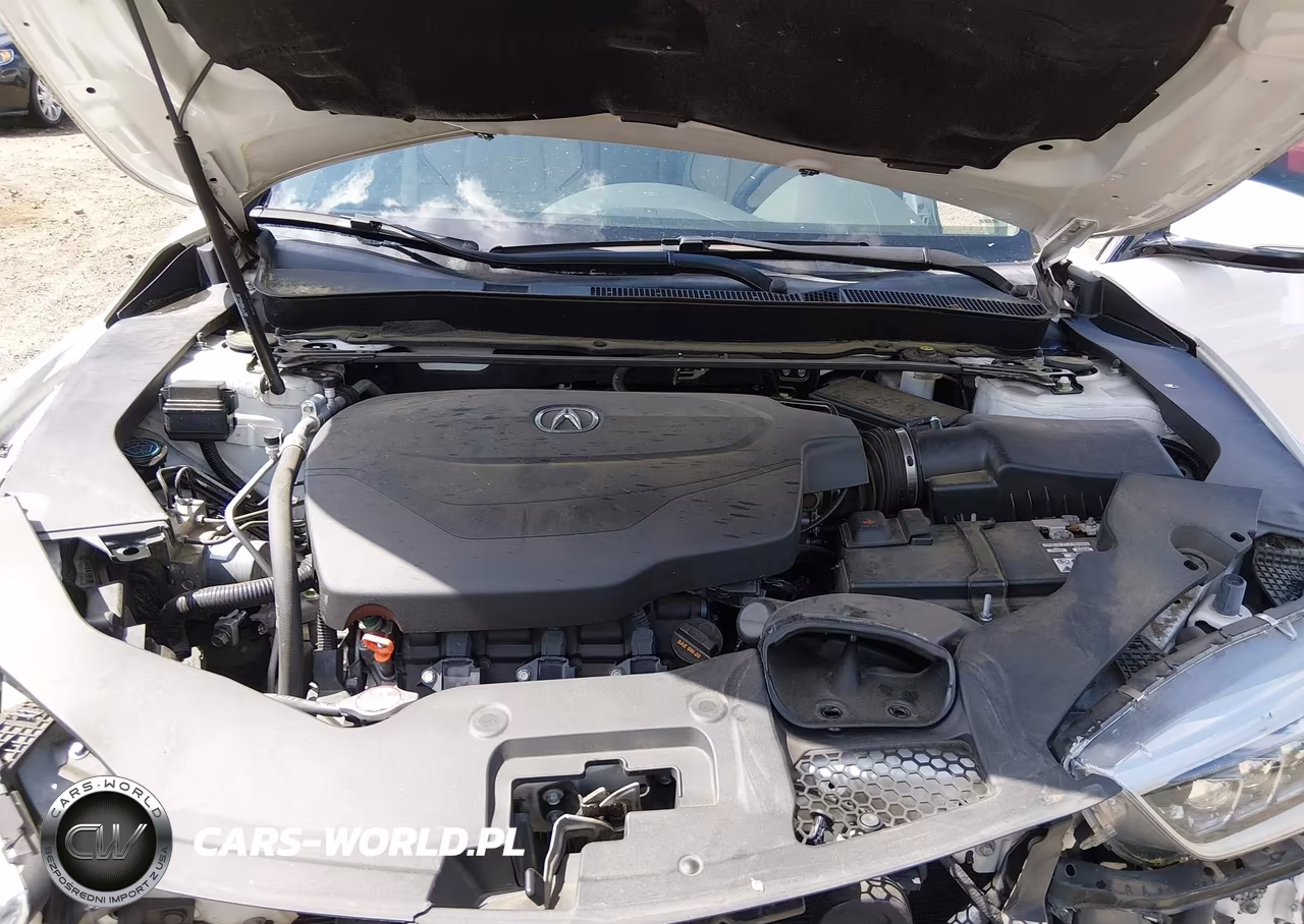 2019 Acura Tlx Advance Pkg VIN:19UUB2F8XKA009520 - 10