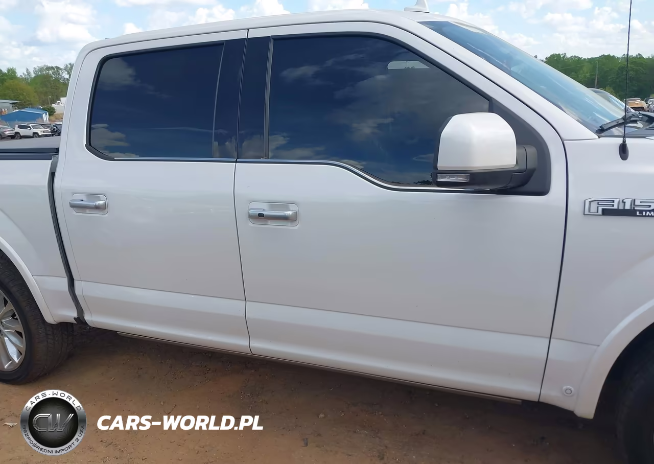 2019 Ford F-150 Limited VIN:1FTEW1EG1KFB88172 - 13