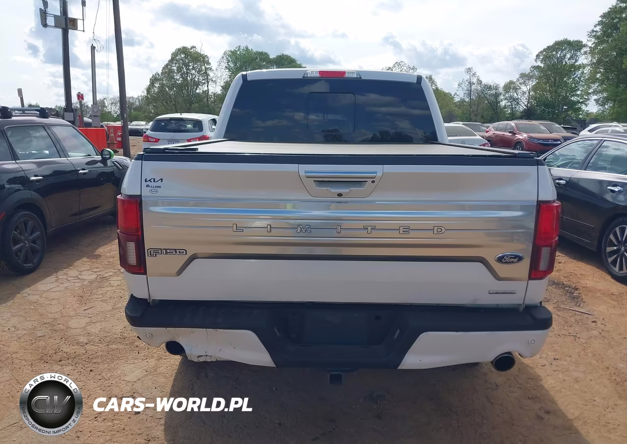 2019 Ford F-150 Limited VIN:1FTEW1EG1KFB88172 - 16