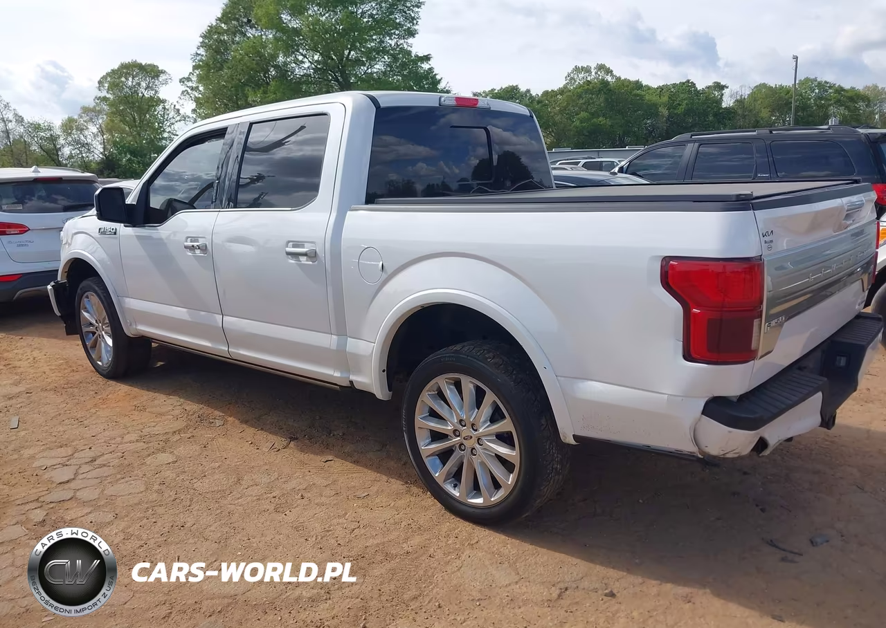 2019 Ford F-150 Limited VIN:1FTEW1EG1KFB88172 - 3