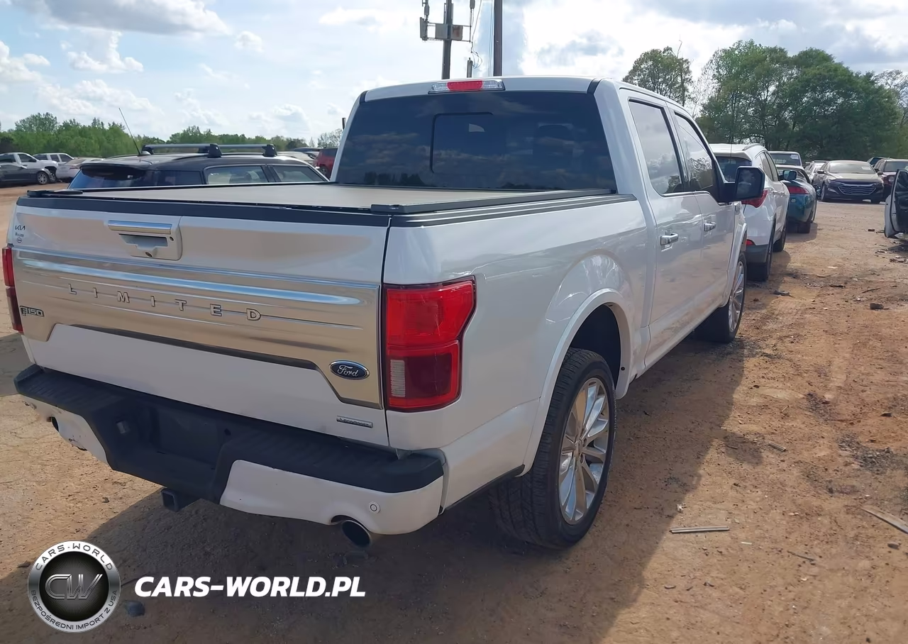 2019 Ford F-150 Limited VIN:1FTEW1EG1KFB88172 - 4