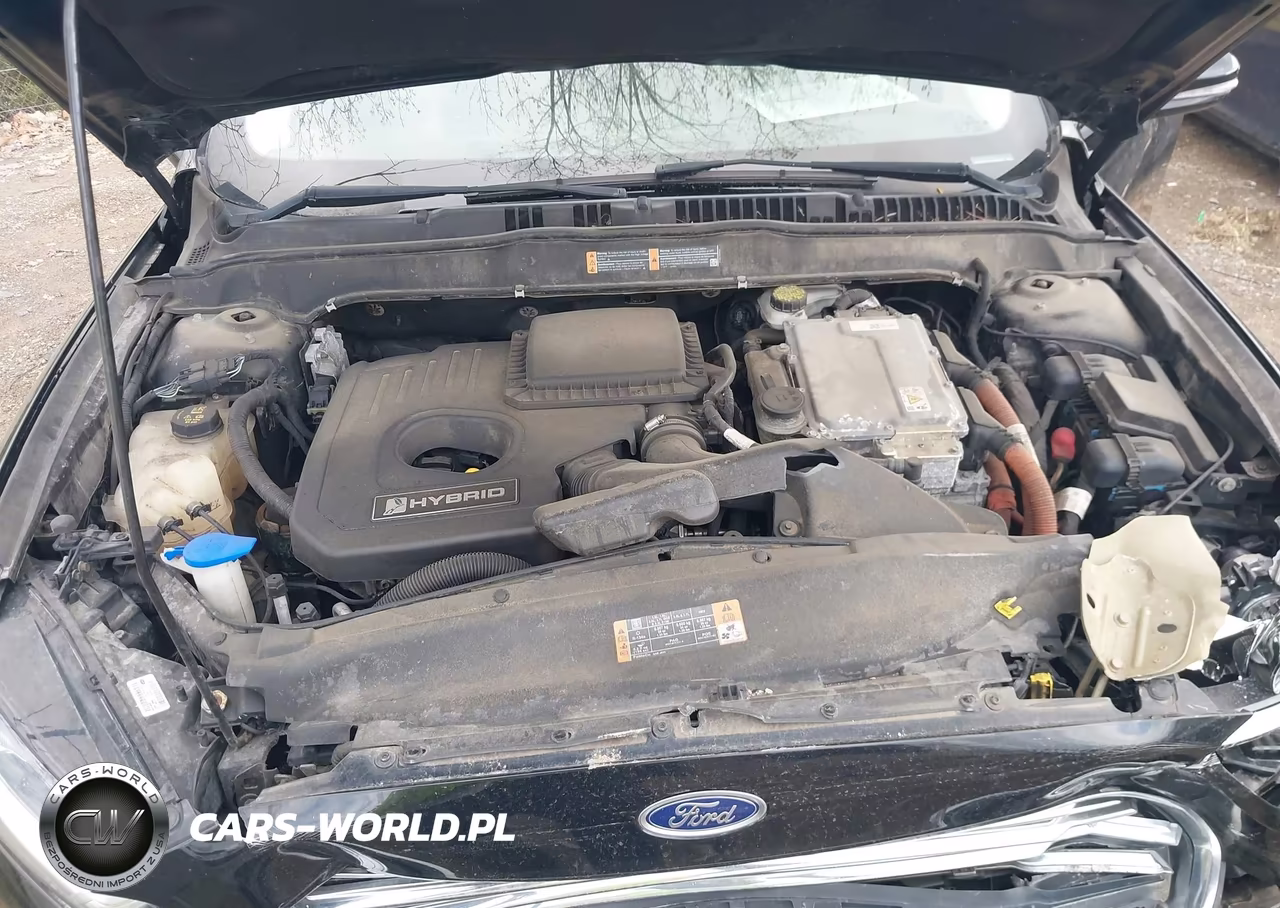 2016 Ford Fusion Hybrid Se VIN:3FA6P0LU0GR285612 - 10