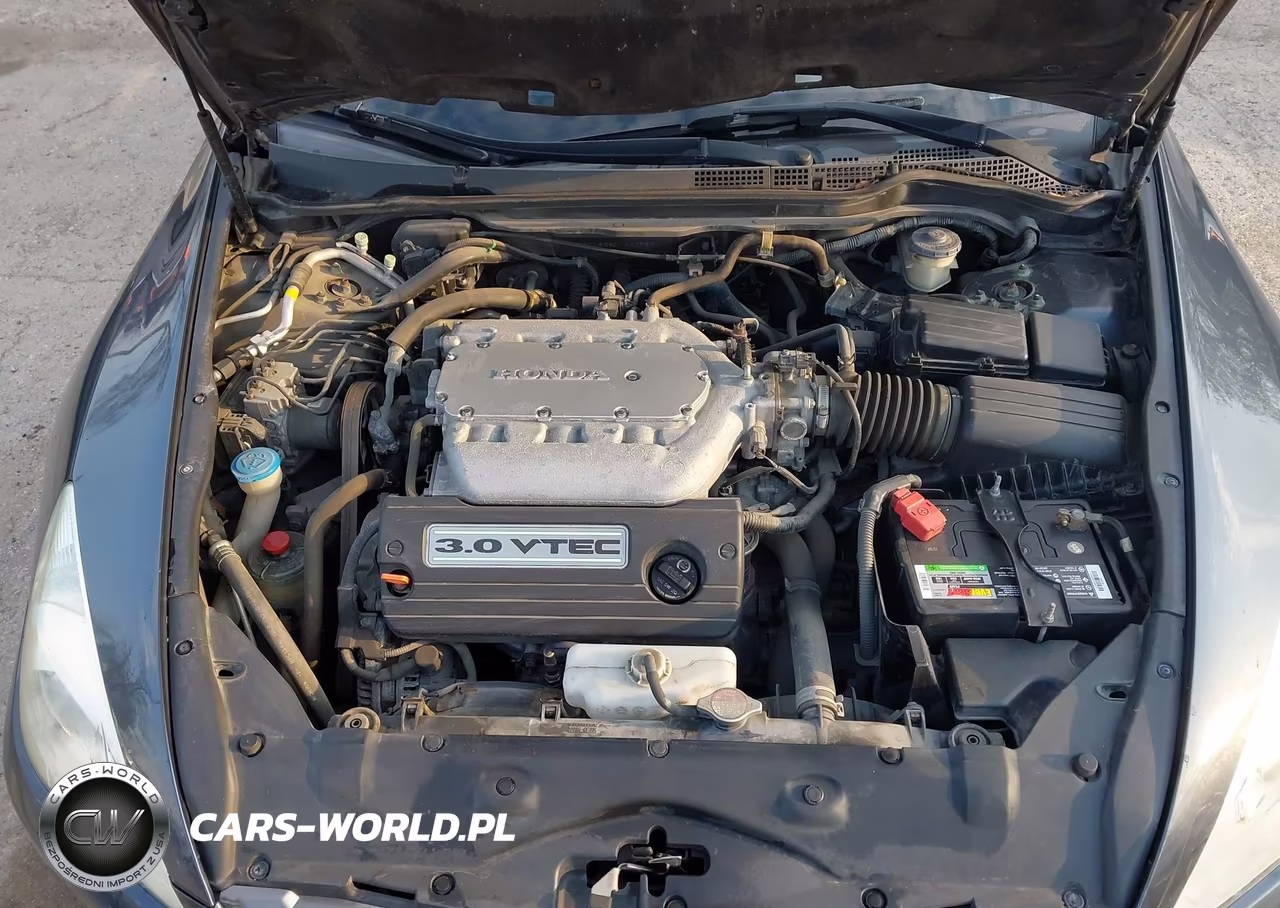2007 Honda Accord 3.0 Ex VIN:1HGCM82617A007501 - 10