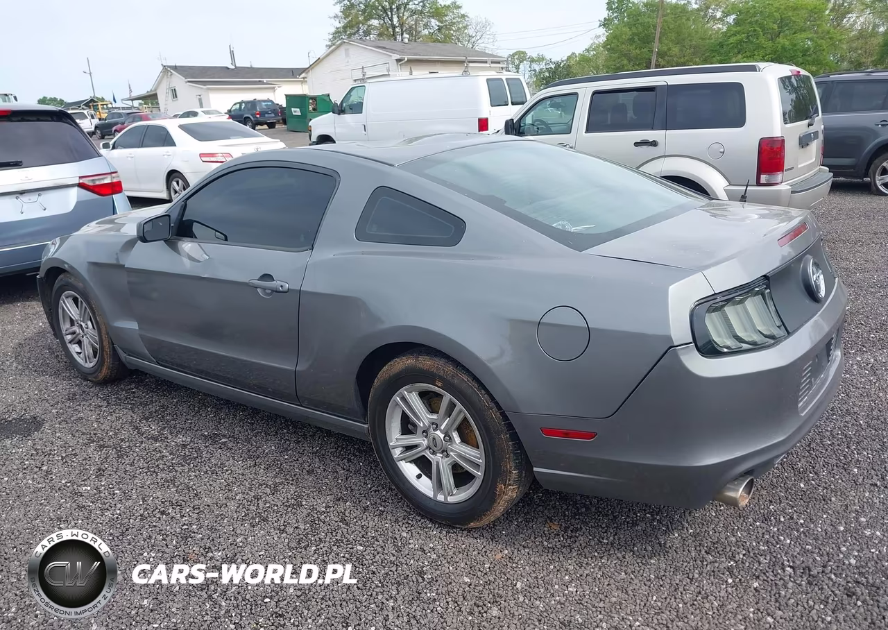2014 Ford Mustang V6 VIN:1ZVBP8AMXE5267609 - 3