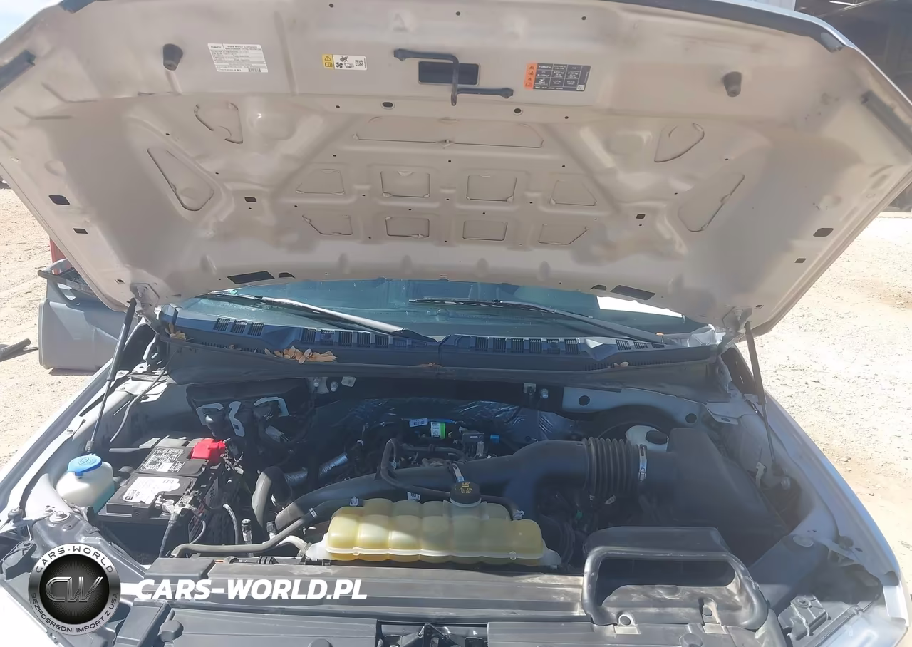 2019 Ford F-150 Xl VIN:1FTEW1CP5KKE61382 - 10