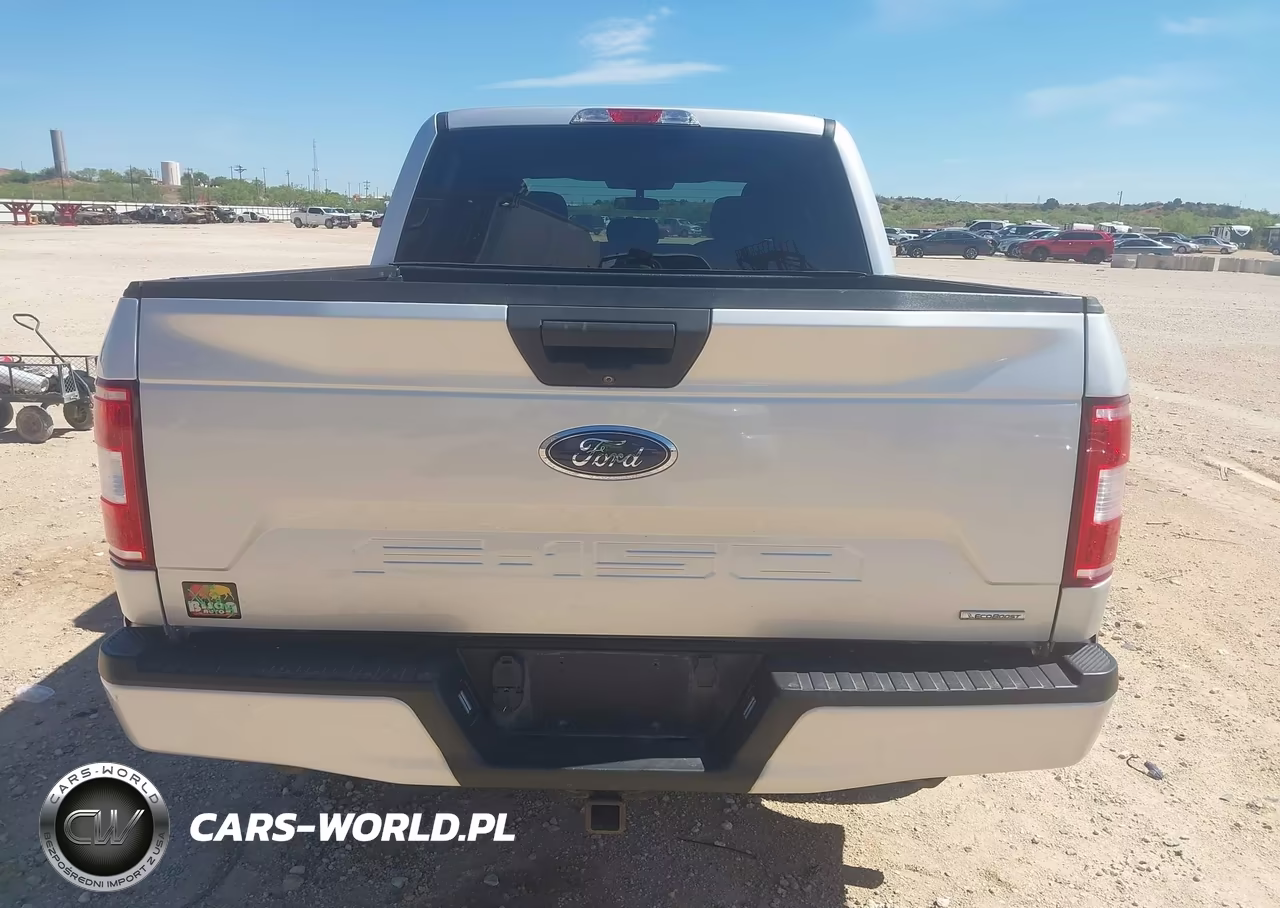 2019 Ford F-150 Xl VIN:1FTEW1CP5KKE61382 - 16