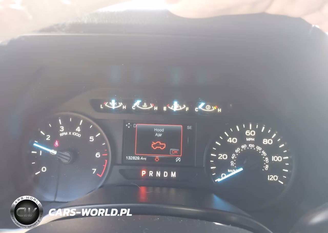 2019 Ford F-150 Xl VIN:1FTEW1CP5KKE61382 - 7