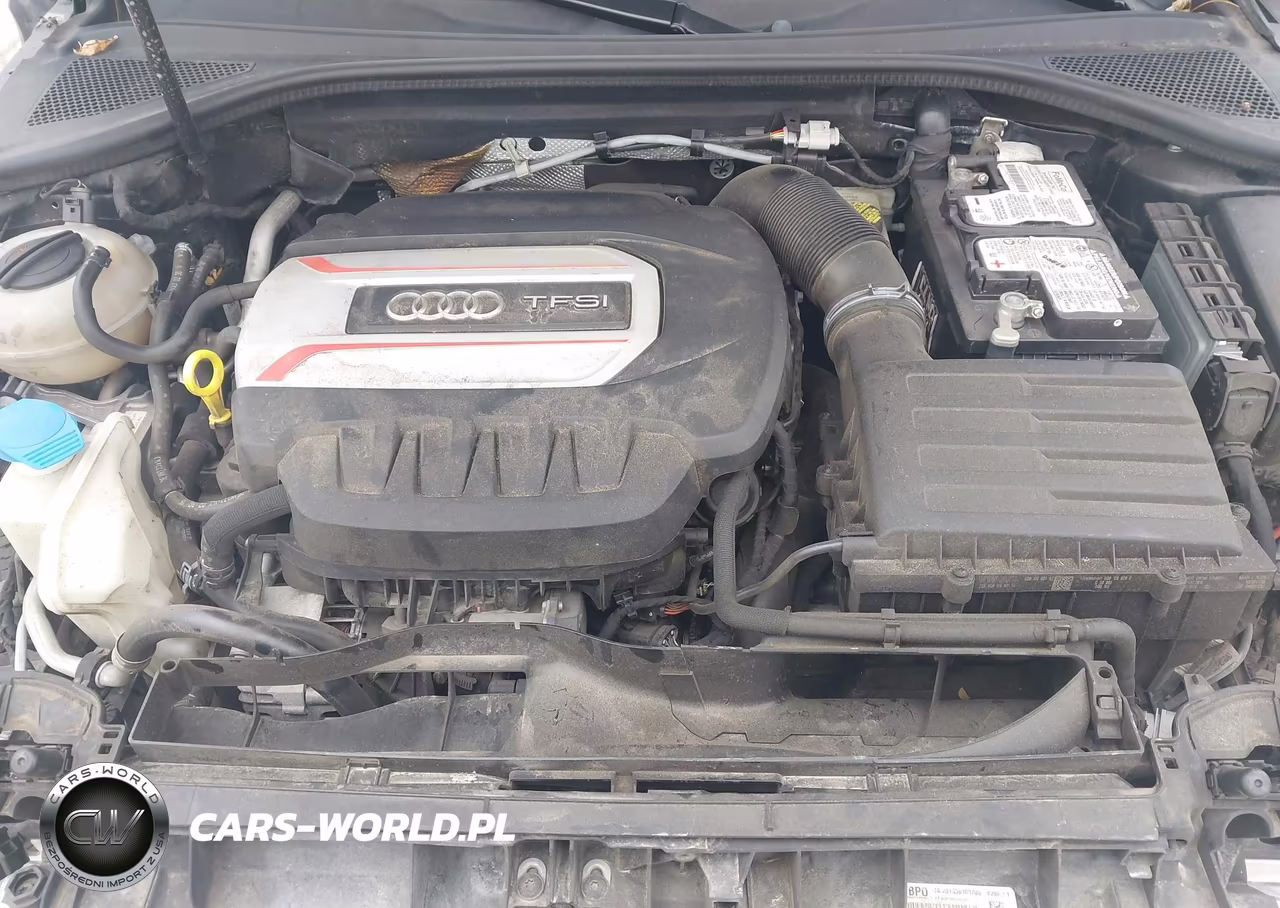 2016 Audi S3 2.0T Premium Plus VIN:WAUF1GFF6G1030651 - 10