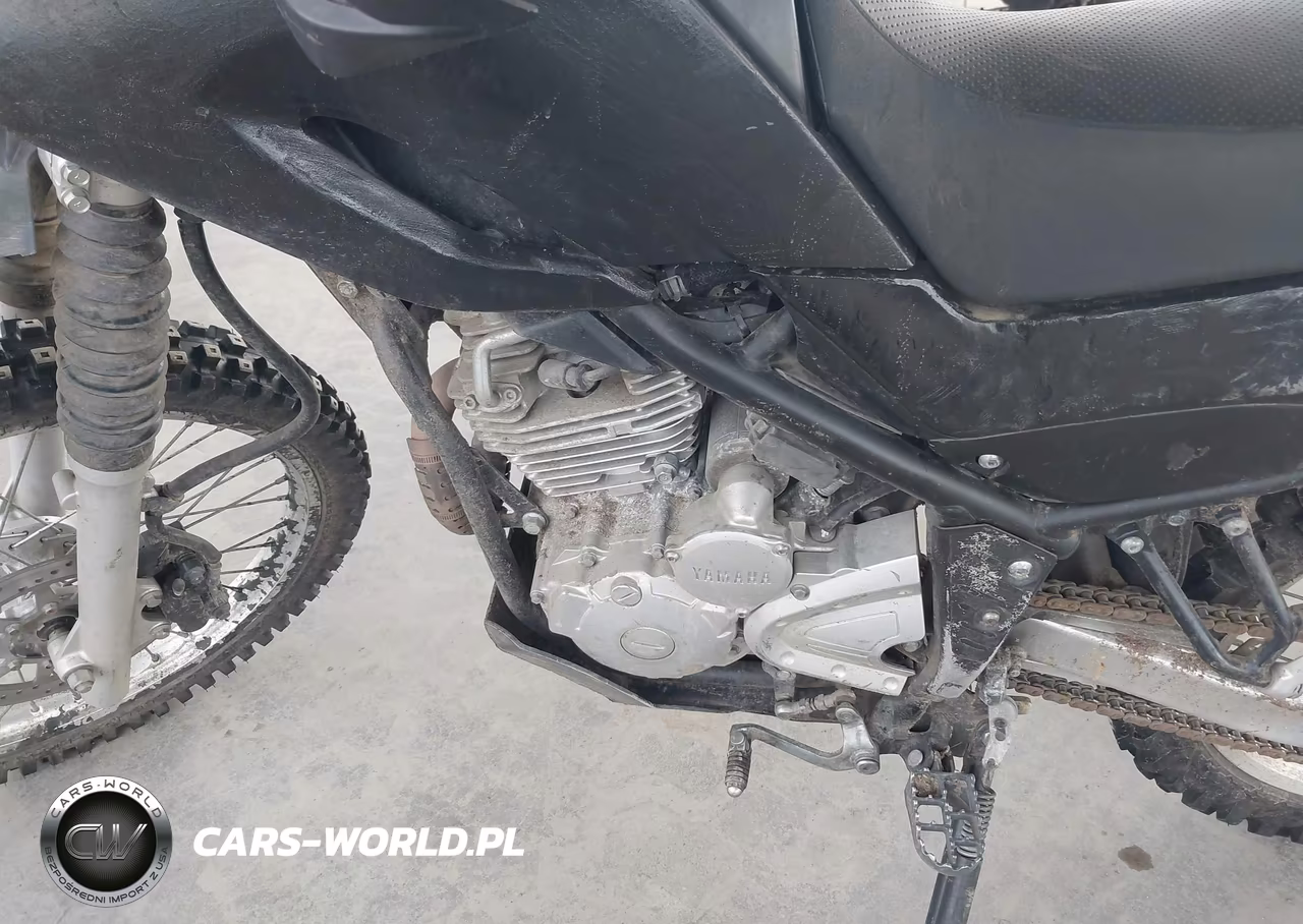 2023 Yamaha Xt250 VIN:JYADG24E0PA016665 - 9