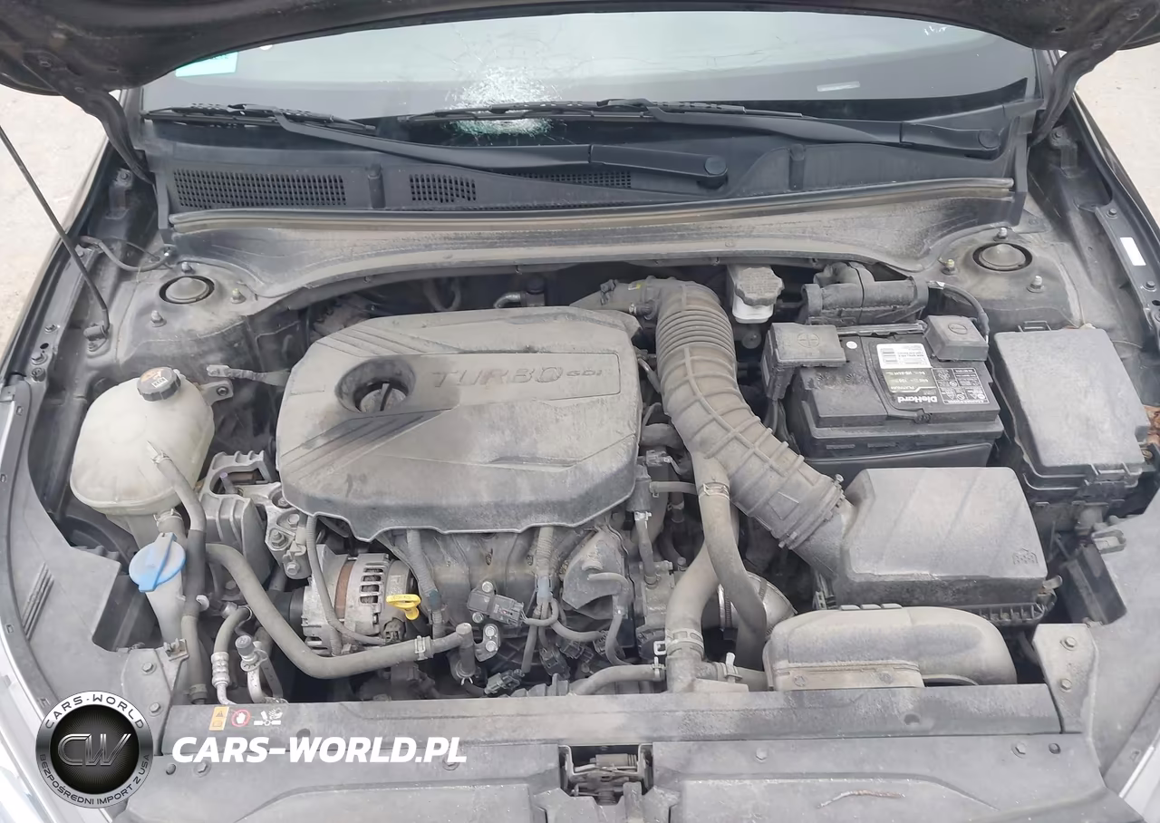 2021 Kia Forte Gt Manual VIN:3KPF44AC8ME271478 - 10