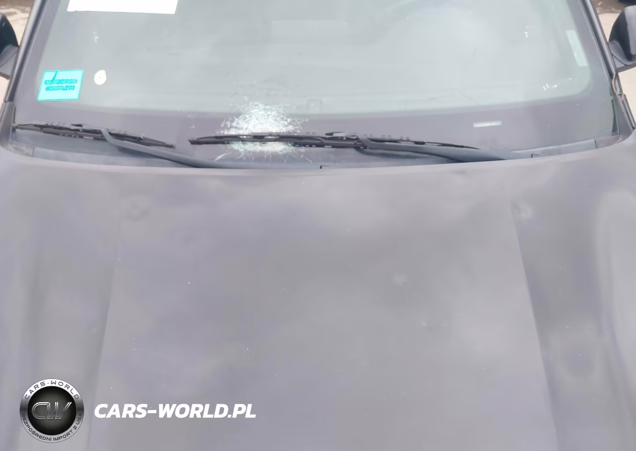 2021 Kia Forte Gt Manual VIN:3KPF44AC8ME271478 - 17