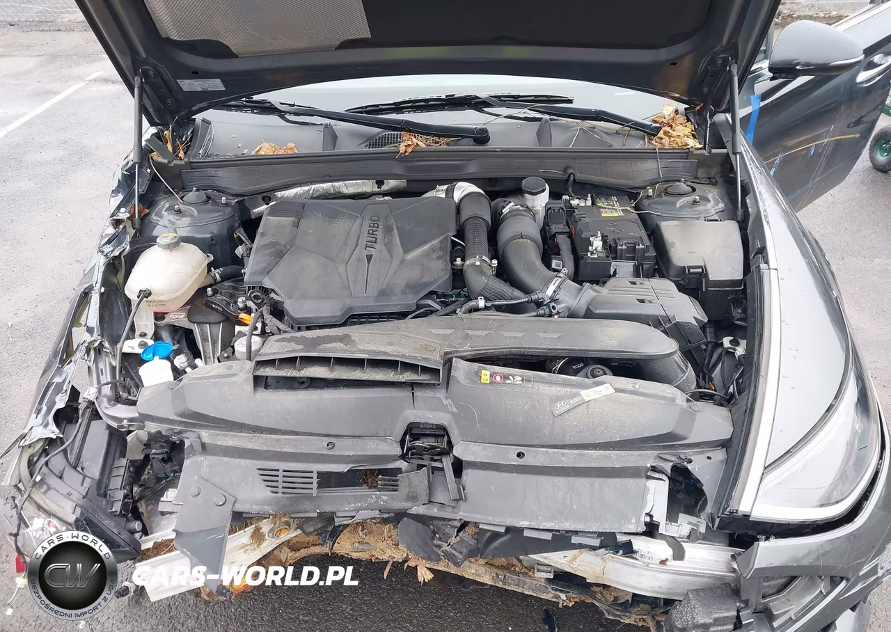 2023 Hyundai Sonata N Line VIN:KMHL14JC9PA336868 - 10