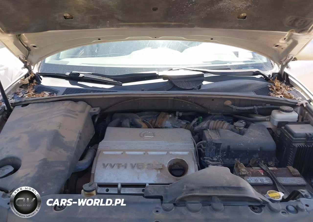 2005 Lexus Rx 330 VIN:2T2GA31U75C026182 - 10