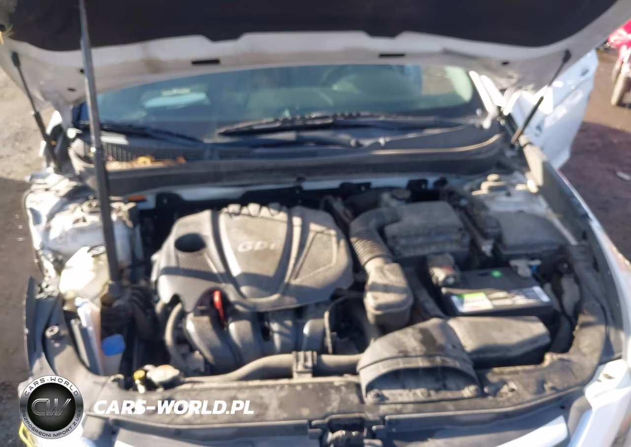 2014 Hyundai Sonata Gls VIN:5NPEB4AC1EH935733 - 10