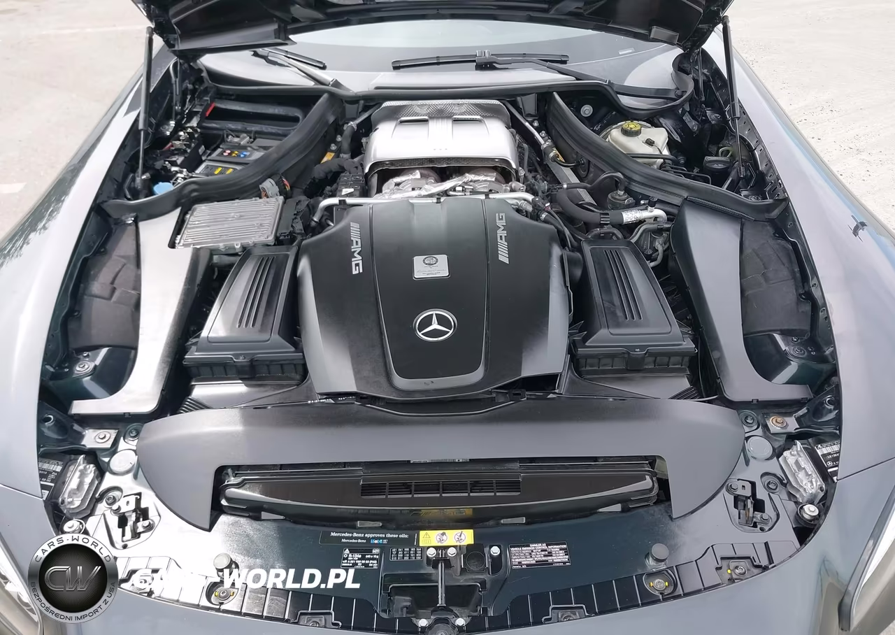 2017 Mercedes-Benz Amg Gt S VIN:WDDYJ7JA5HA010339 - 10