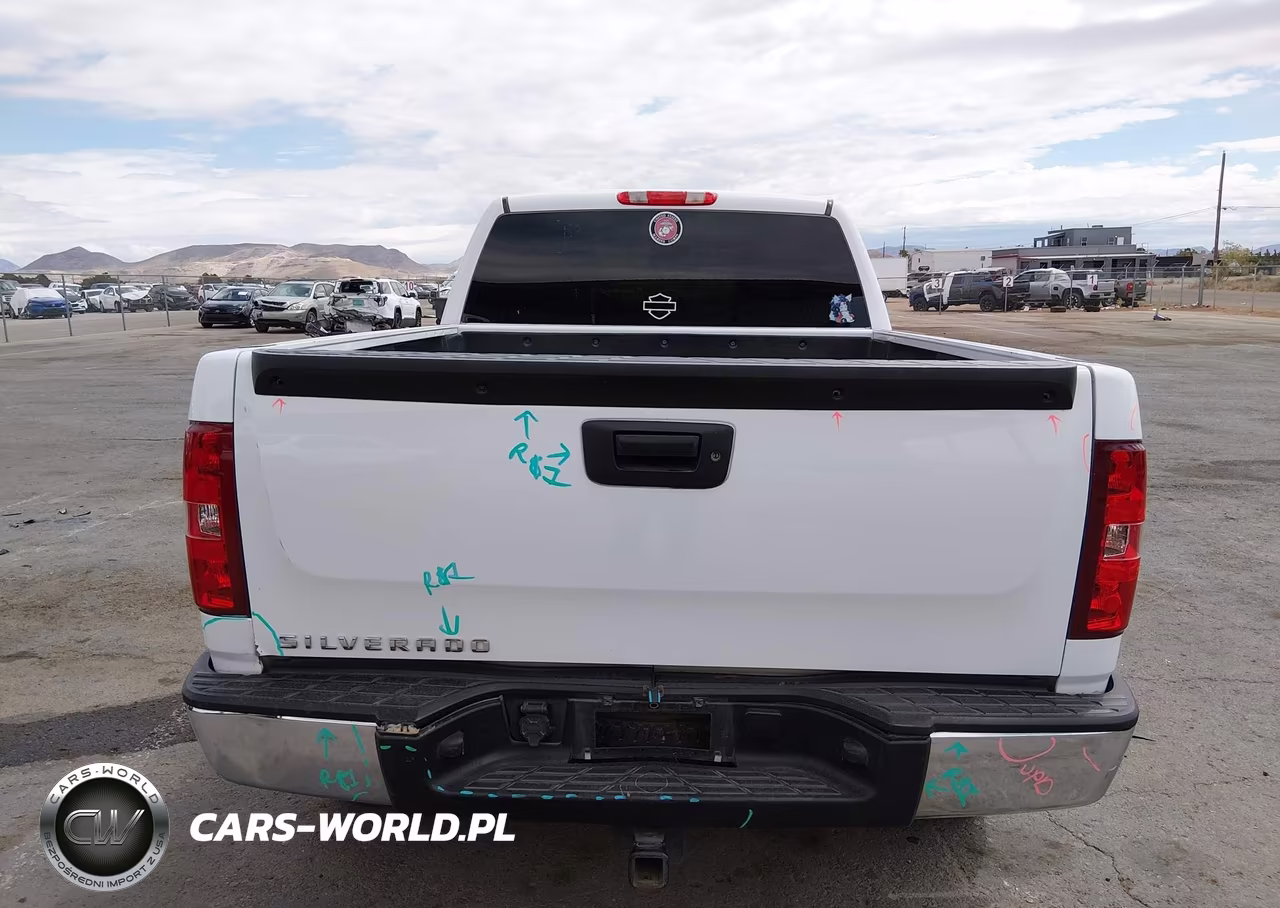 2013 Chevrolet Silverado 1500 Ls VIN:1GCRCREA8DZ159306 - 17