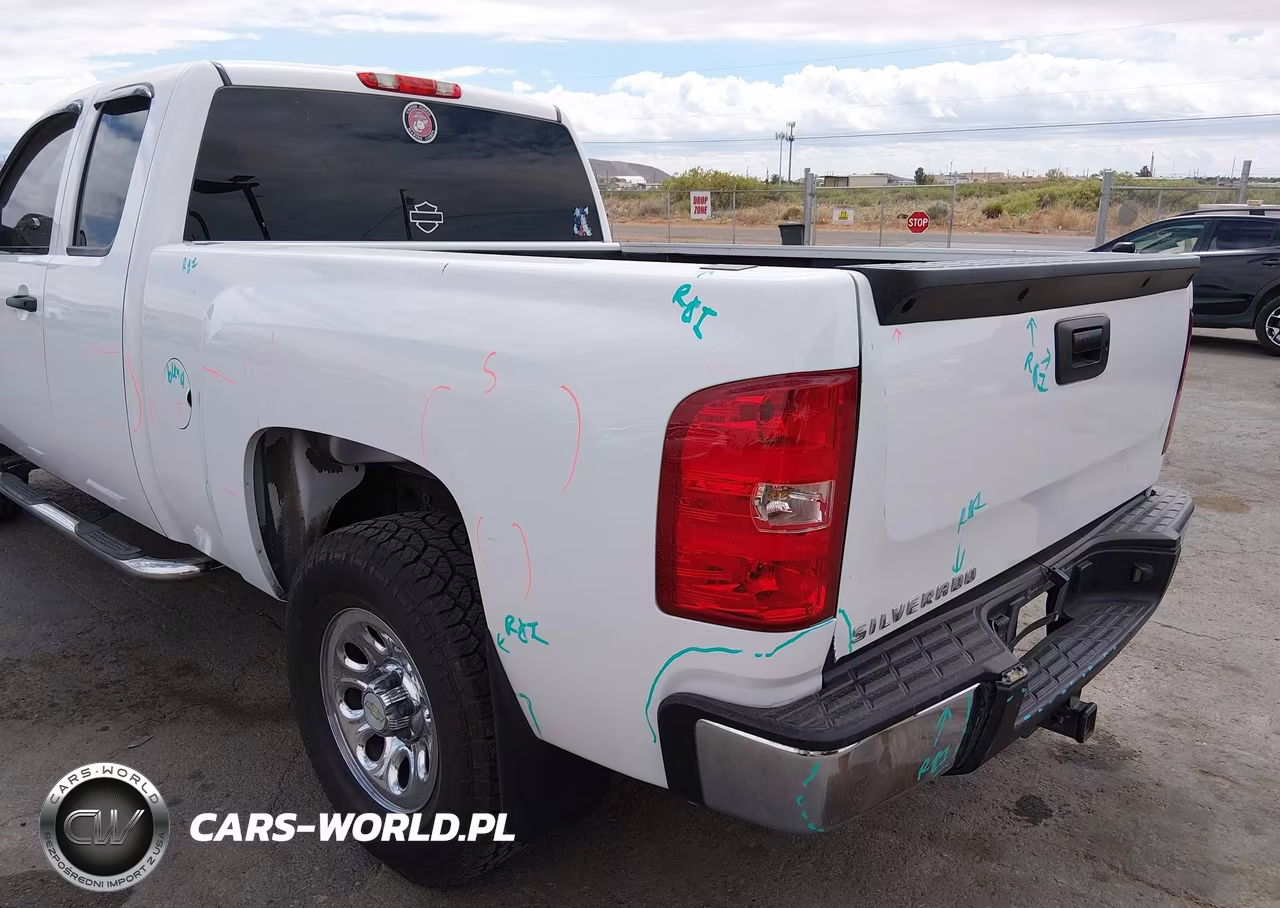 2013 Chevrolet Silverado 1500 Ls VIN:1GCRCREA8DZ159306 - 19