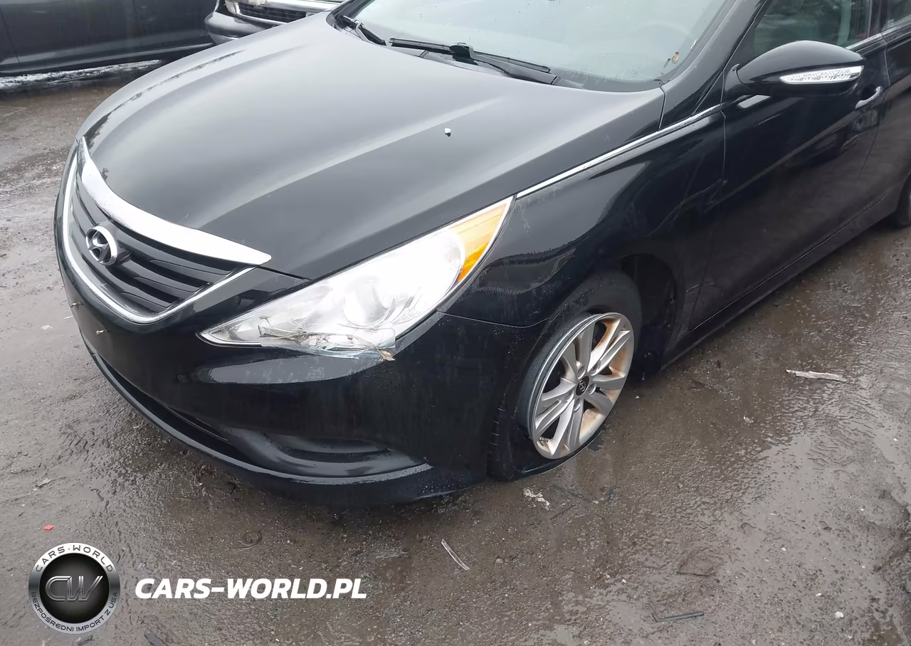 2014 Hyundai Sonata Gls VIN:5NPEB4AC8EH934725 - 6