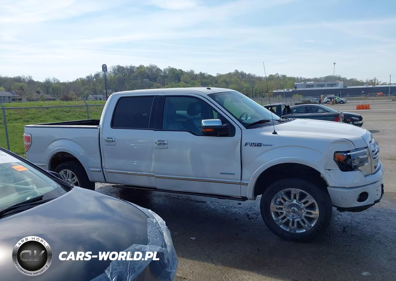 2013 Ford F-150 Platinum VIN:1FTFW1ET4DFE04648 - 13
