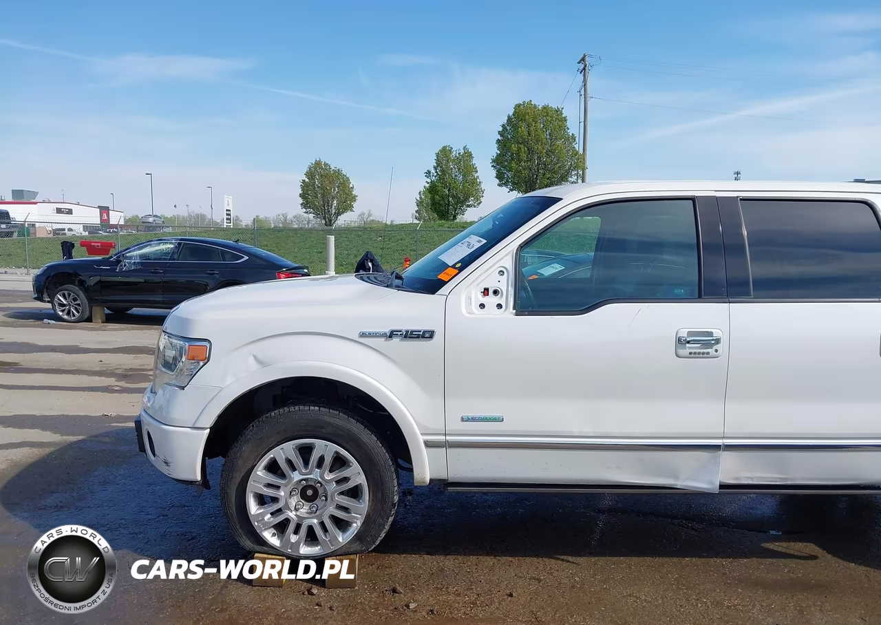 2013 Ford F-150 Platinum VIN:1FTFW1ET4DFE04648 - 17