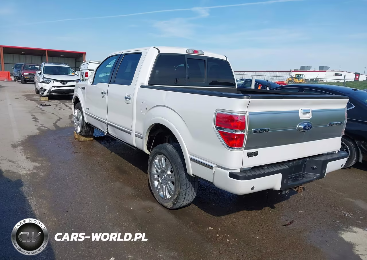 2013 Ford F-150 Platinum VIN:1FTFW1ET4DFE04648 - 3