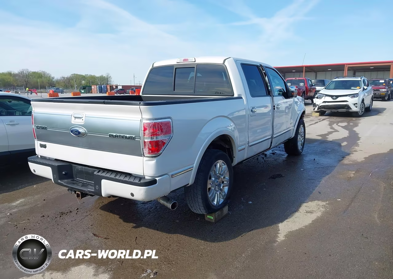 2013 Ford F-150 Platinum VIN:1FTFW1ET4DFE04648 - 4