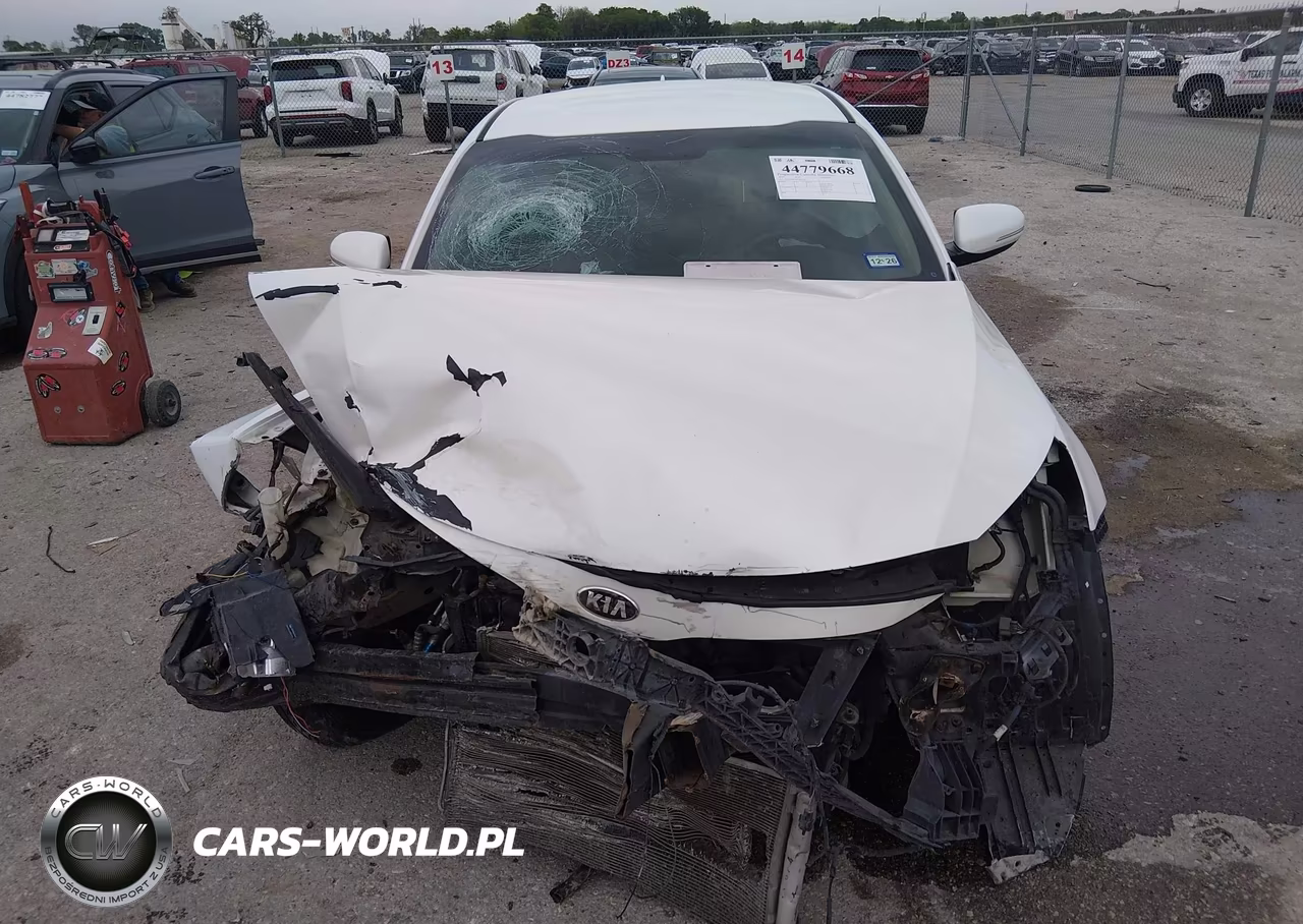 2015 Kia Optima Lx VIN:KNAGM4A74F5601331 - 12