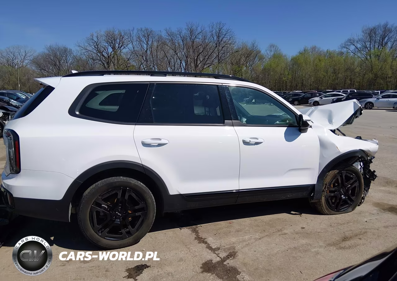 2024 Kia Telluride Ex X-Line VIN:5XYP3DGC4RG503356 - 14