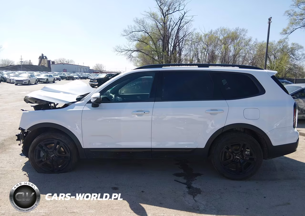 2024 Kia Telluride Ex X-Line VIN:5XYP3DGC4RG503356 - 15