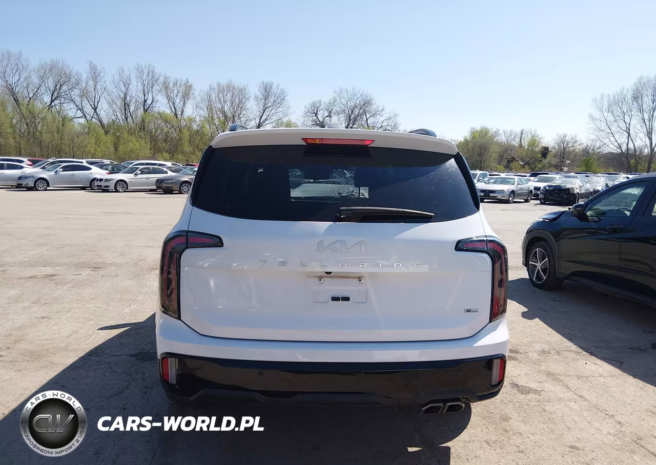 2024 Kia Telluride Ex X-Line VIN:5XYP3DGC4RG503356 - 17