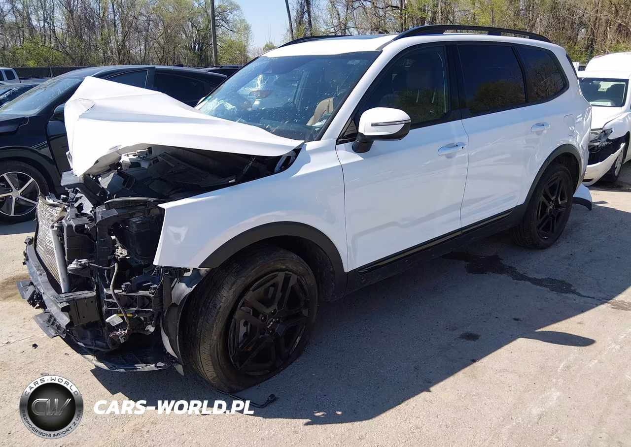 2024 Kia Telluride Ex X-Line VIN:5XYP3DGC4RG503356 - 2