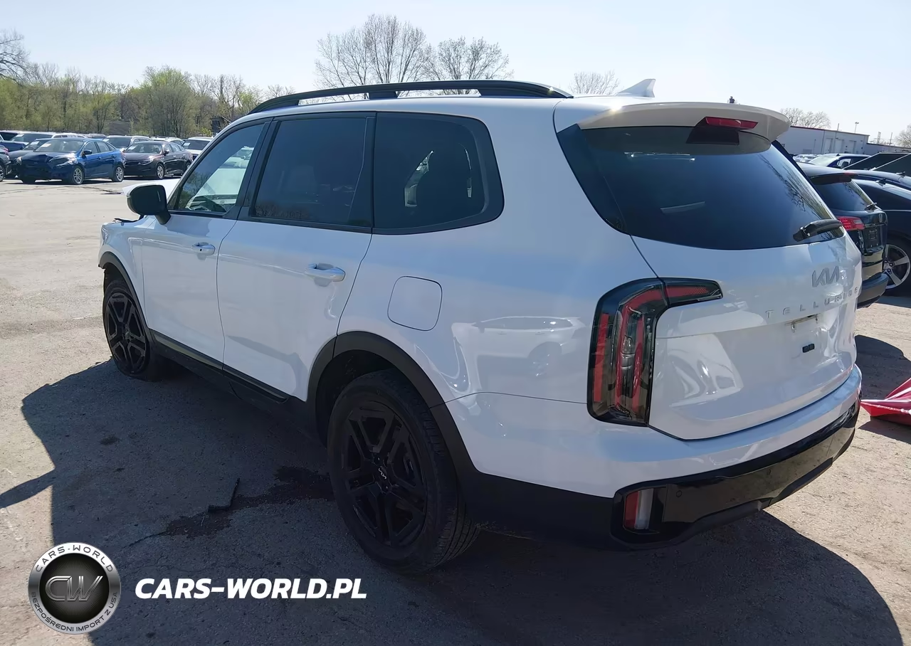 2024 Kia Telluride Ex X-Line VIN:5XYP3DGC4RG503356 - 3