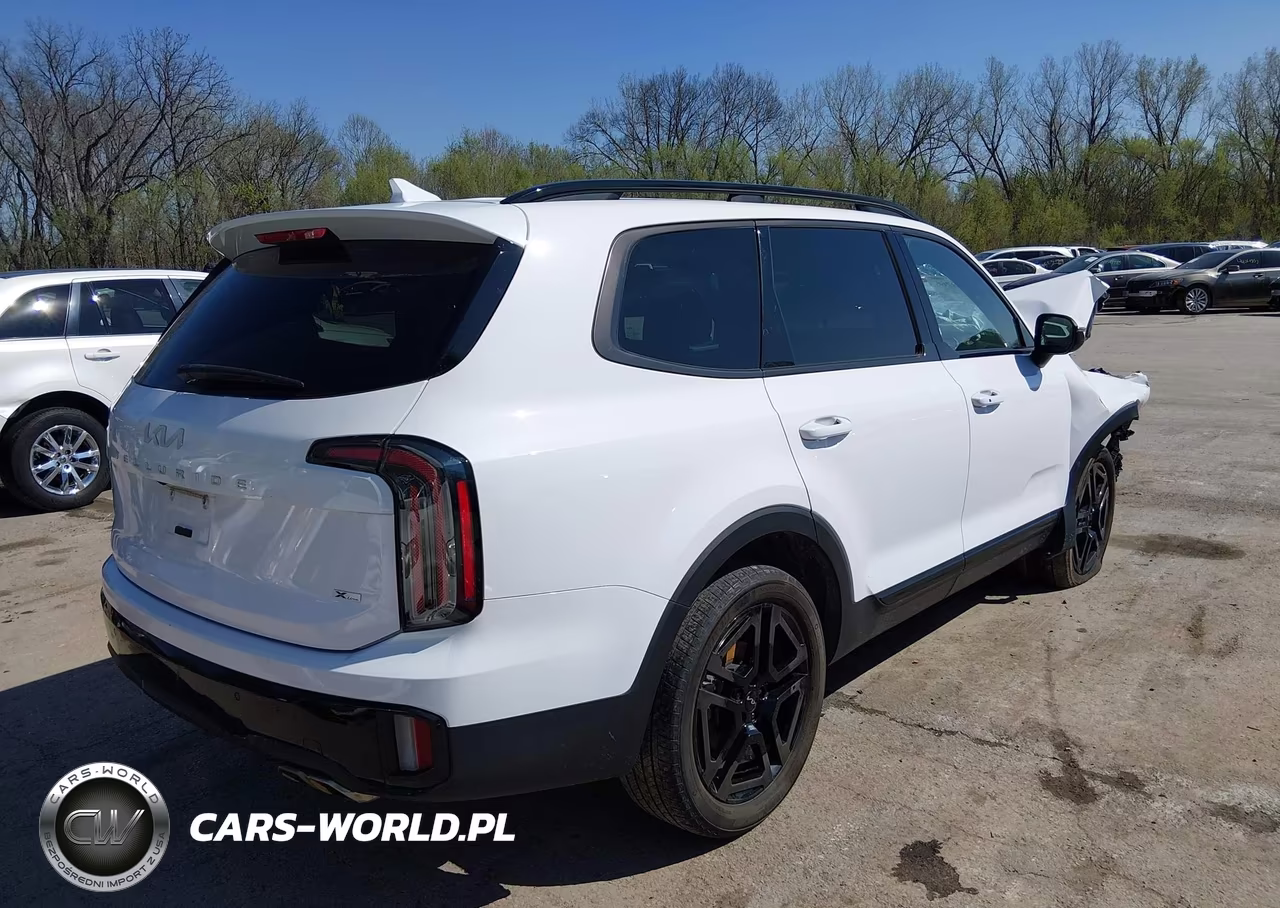 2024 Kia Telluride Ex X-Line VIN:5XYP3DGC4RG503356 - 4