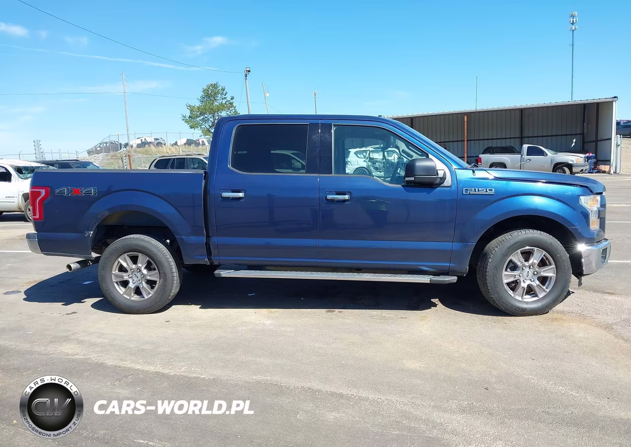 2015 Ford F-150 Xlt VIN:1FTEW1EF2FKE01358 - 13