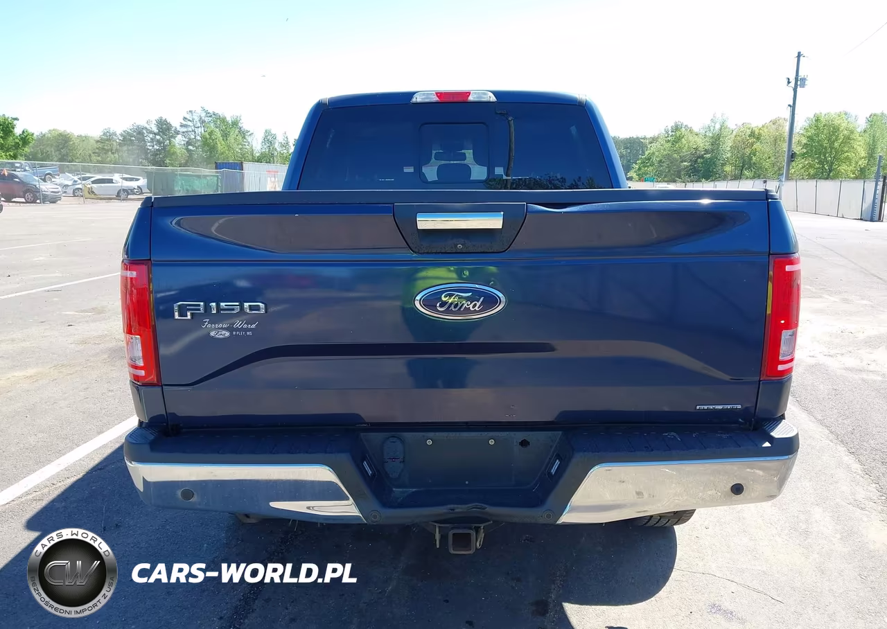 2015 Ford F-150 Xlt VIN:1FTEW1EF2FKE01358 - 16
