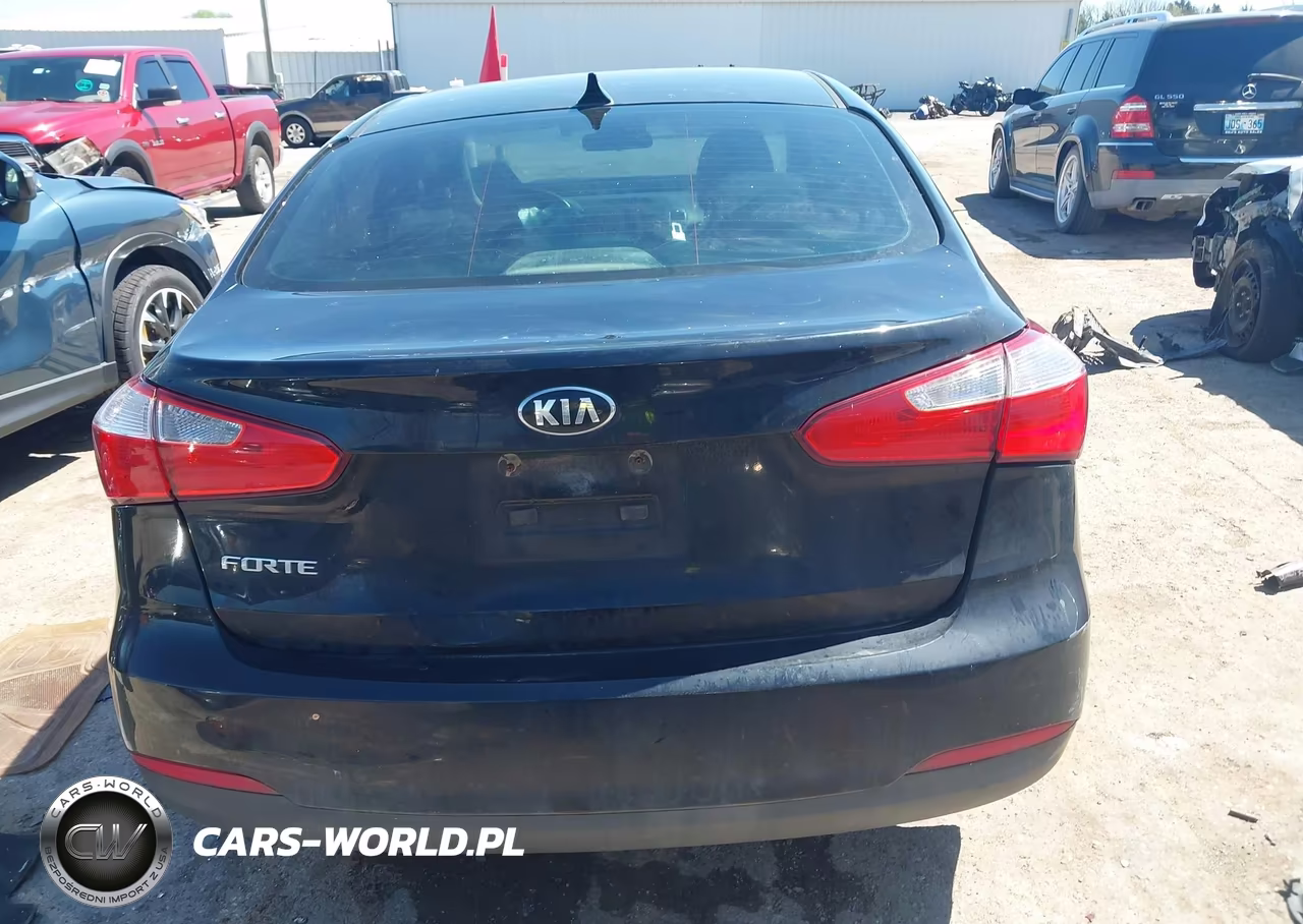 2014 Kia Forte Lx VIN:KNAFX4A6XE5228403 - 17
