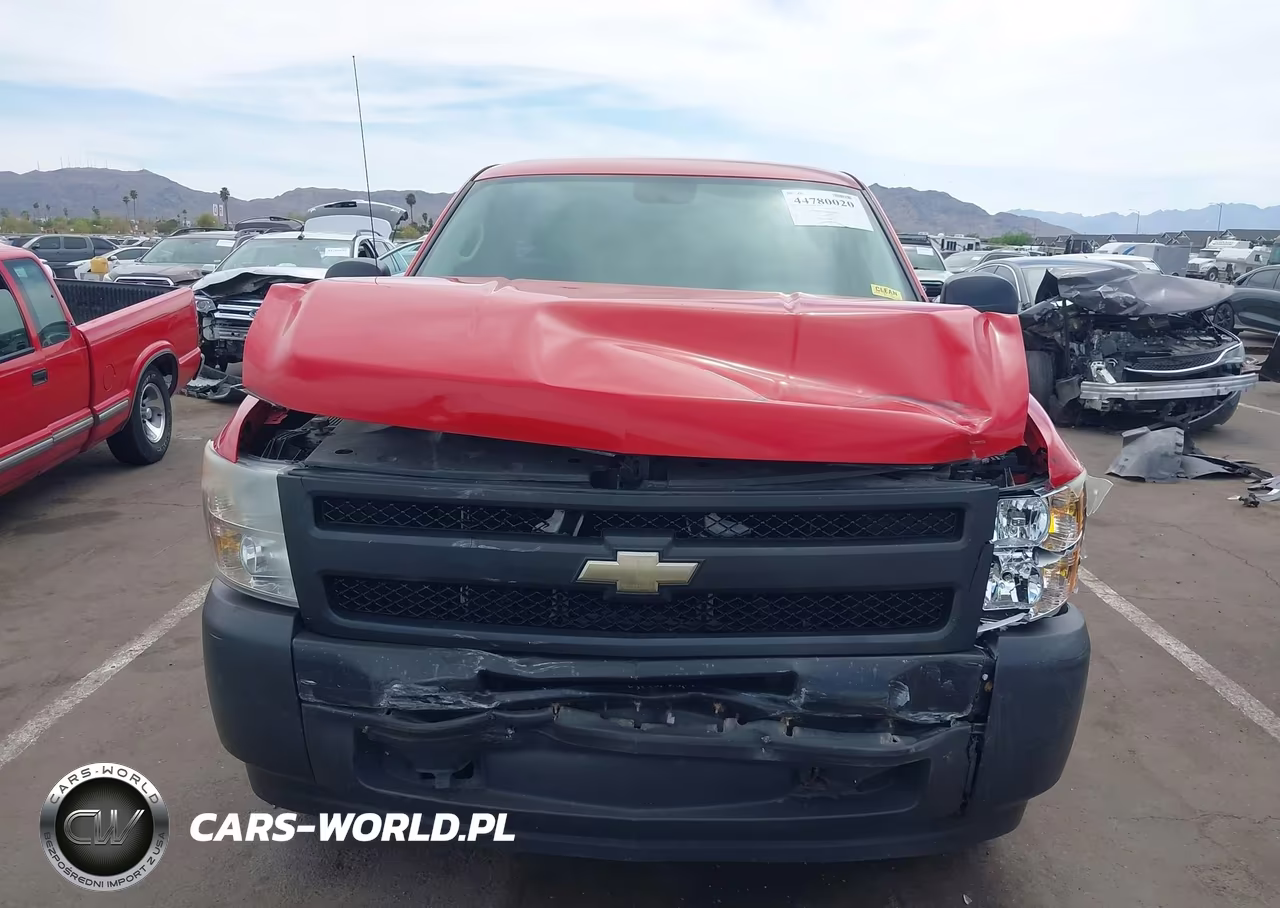 2011 Chevrolet Silverado 1500 Work Truck VIN:1GCNCPEXXBZ173793 - 13