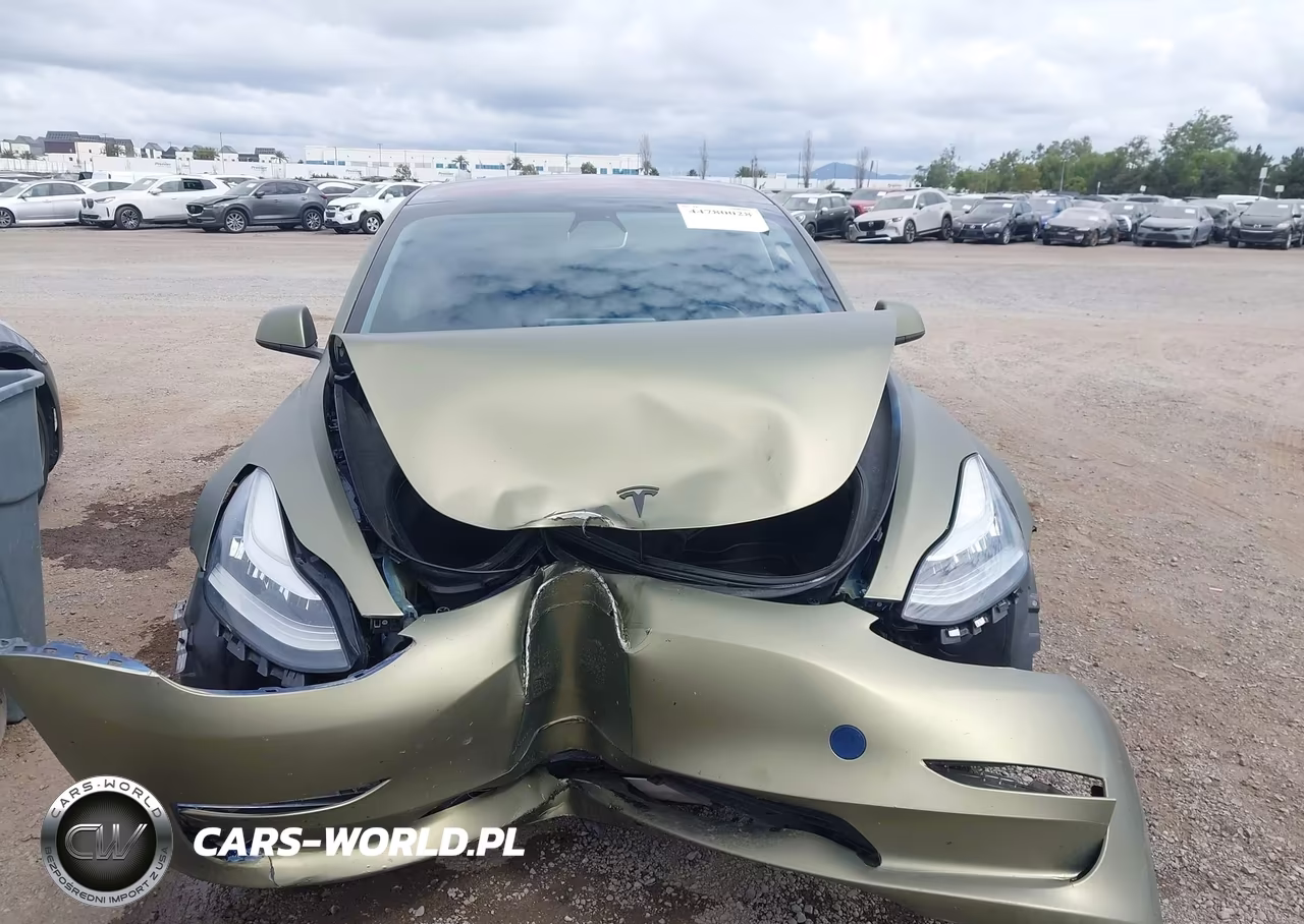 2019 Tesla Model 3 Long Range-Mid Range-Standard Range-Standard Range Plus VIN:5YJ3E1EA9KF190374 - 12