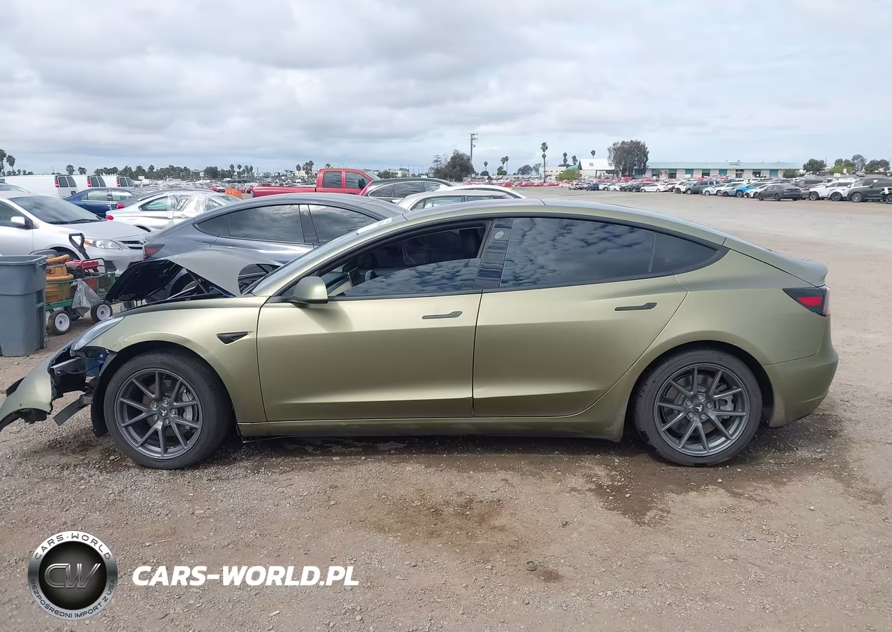 2019 Tesla Model 3 Long Range-Mid Range-Standard Range-Standard Range Plus VIN:5YJ3E1EA9KF190374 - 14