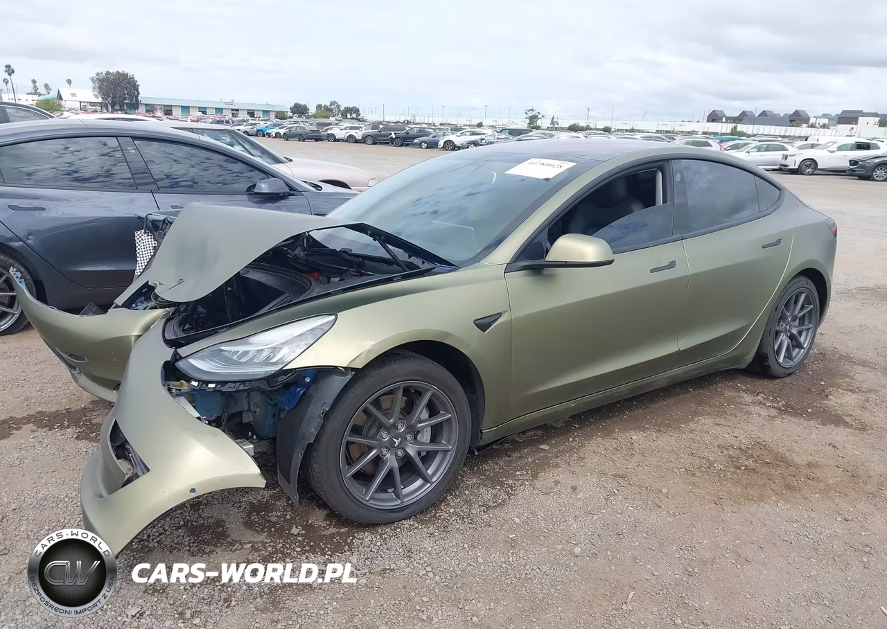 2019 Tesla Model 3 Long Range-Mid Range-Standard Range-Standard Range Plus VIN:5YJ3E1EA9KF190374 - 2
