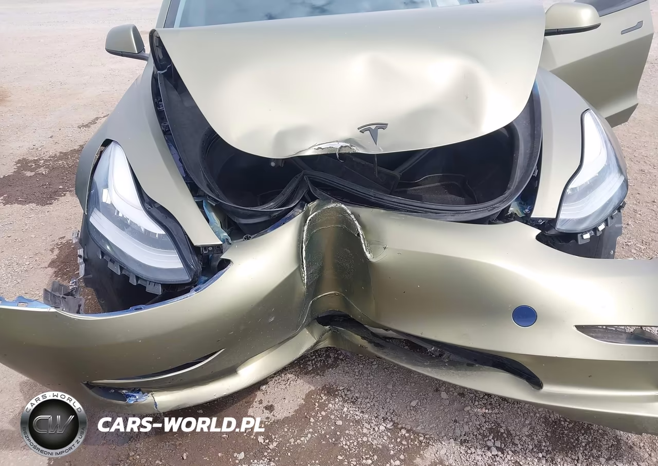 2019 Tesla Model 3 Long Range-Mid Range-Standard Range-Standard Range Plus VIN:5YJ3E1EA9KF190374 - 6