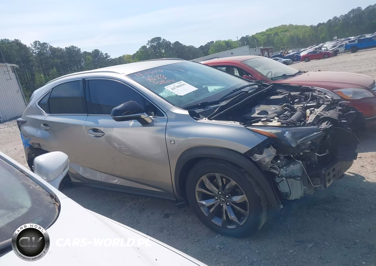 2018 Lexus Nx 300 F Sport VIN:JTJYARBZ6J2104396 - 13