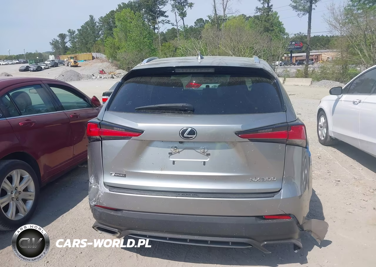 2018 Lexus Nx 300 F Sport VIN:JTJYARBZ6J2104396 - 16