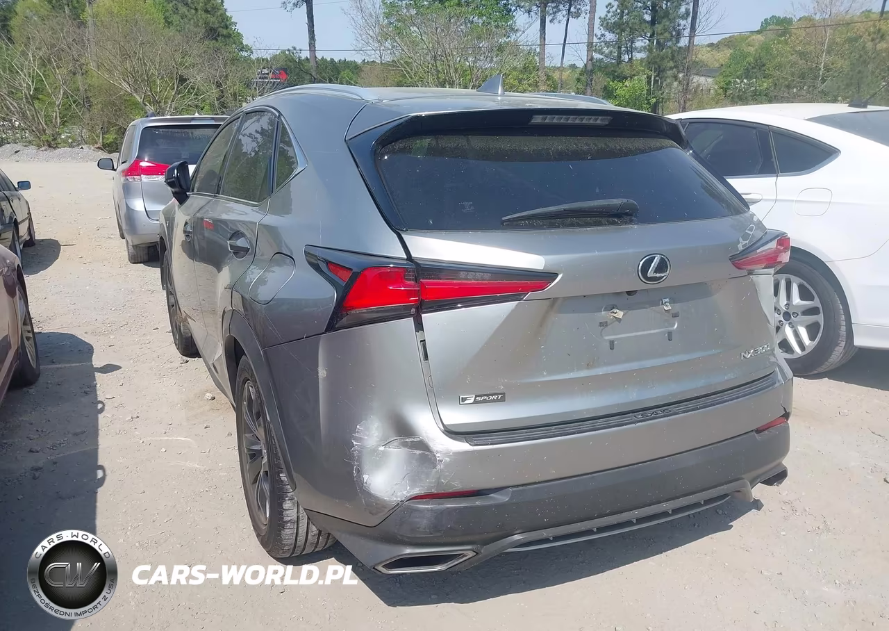 2018 Lexus Nx 300 F Sport VIN:JTJYARBZ6J2104396 - 3