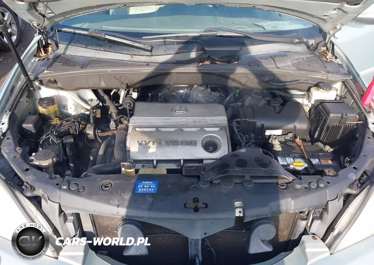 2006 Lexus Rx 330 VIN:2T2HA31U36C093044 - 10