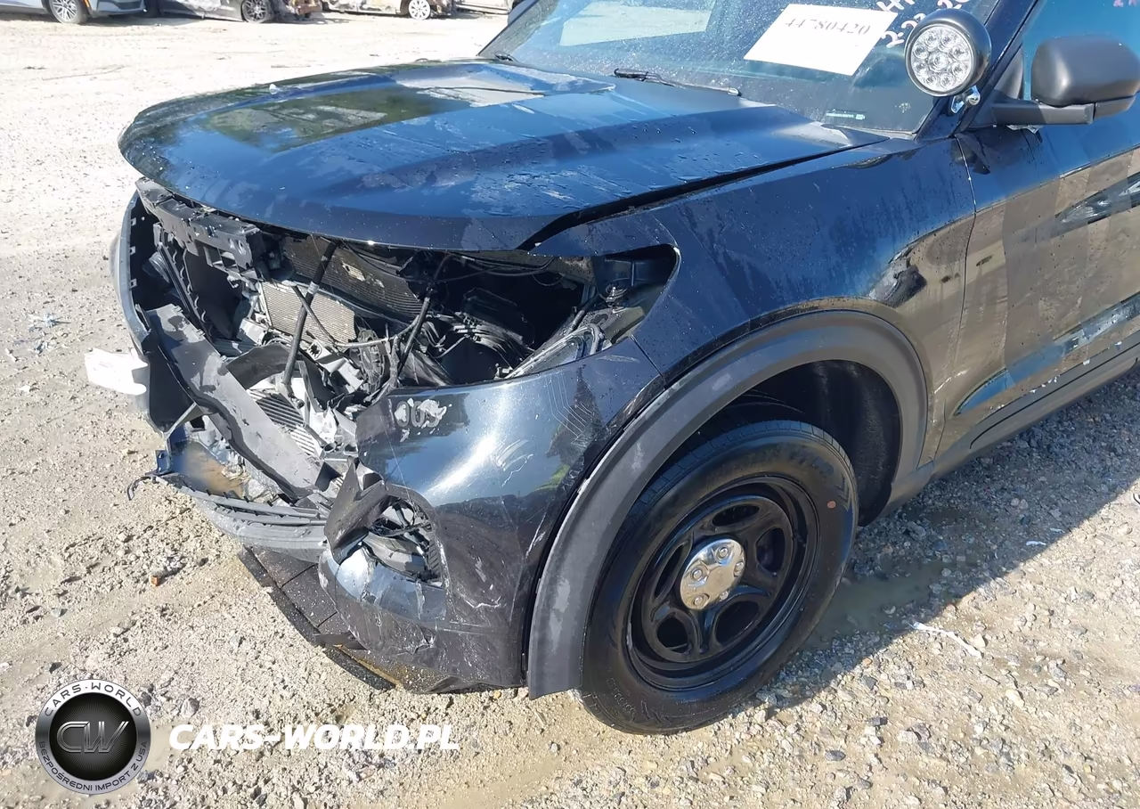 2020 Ford Police Interceptor Utility VIN:1FM5K8ABXLGD07973 - 17